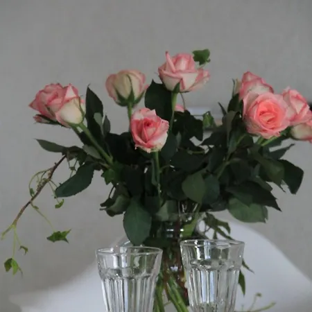 Schoof No4 Appartement Friedrichskoog