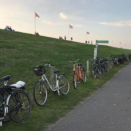 Appartement Schoof No4 *